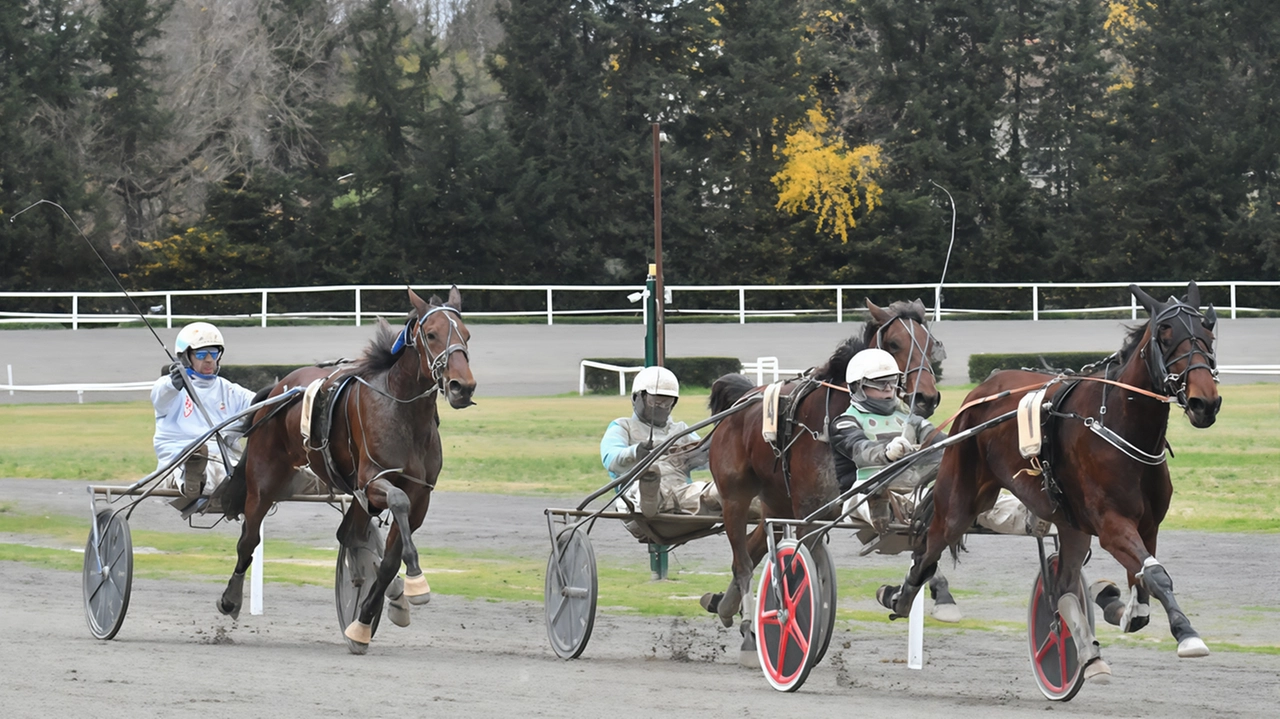 L’arrivo del Premio Cupolone vinto da Gea del Ronco con driver Enrico Bellei