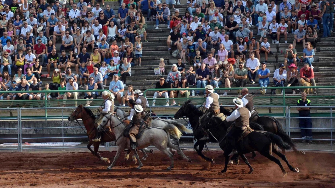 Una spettacolare esibizione durante la Mostra del Cavallo a Città di Castello