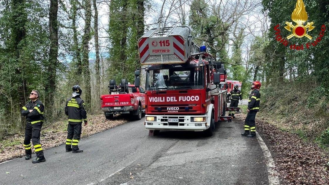 Rami e alberi pericolanti. Vigili del fuoco in azione