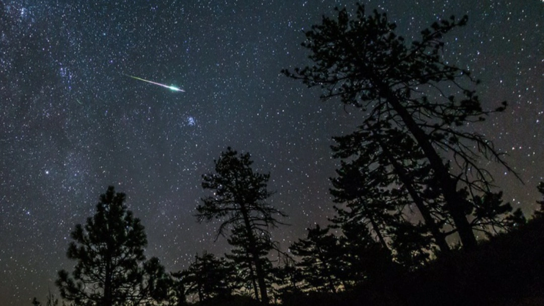 Stelle cadenti (foto di repertorio Ansa)   