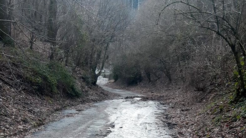 A Pracchia, la signora Emanuela Ferrali protesta per la pericolosità di via della Casetta a causa della mancanza di manutenzione. Chiede interventi urgenti al Comune di Pistoia per garantire la sicurezza degli abitanti, soprattutto di chi ha patologie.