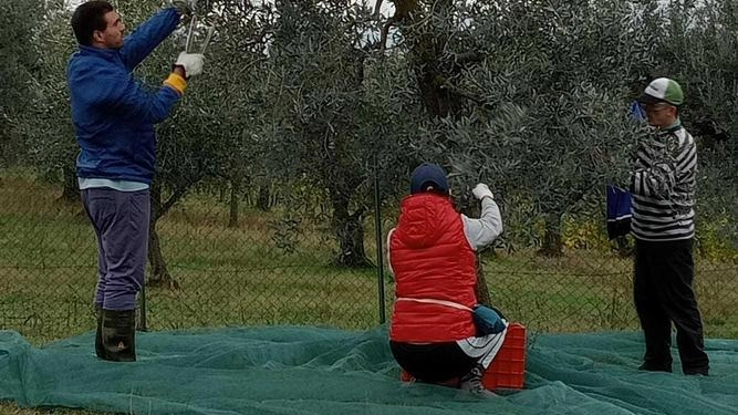 La Fondazione “Dopo di noi“. Bilancio ok e nuovi servizi: "Anche grazie alle donazioni"