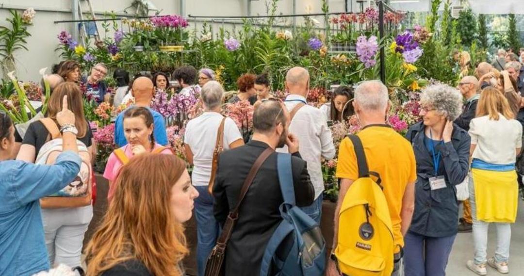 Pistoia, torna la mostra mercato Orchidea