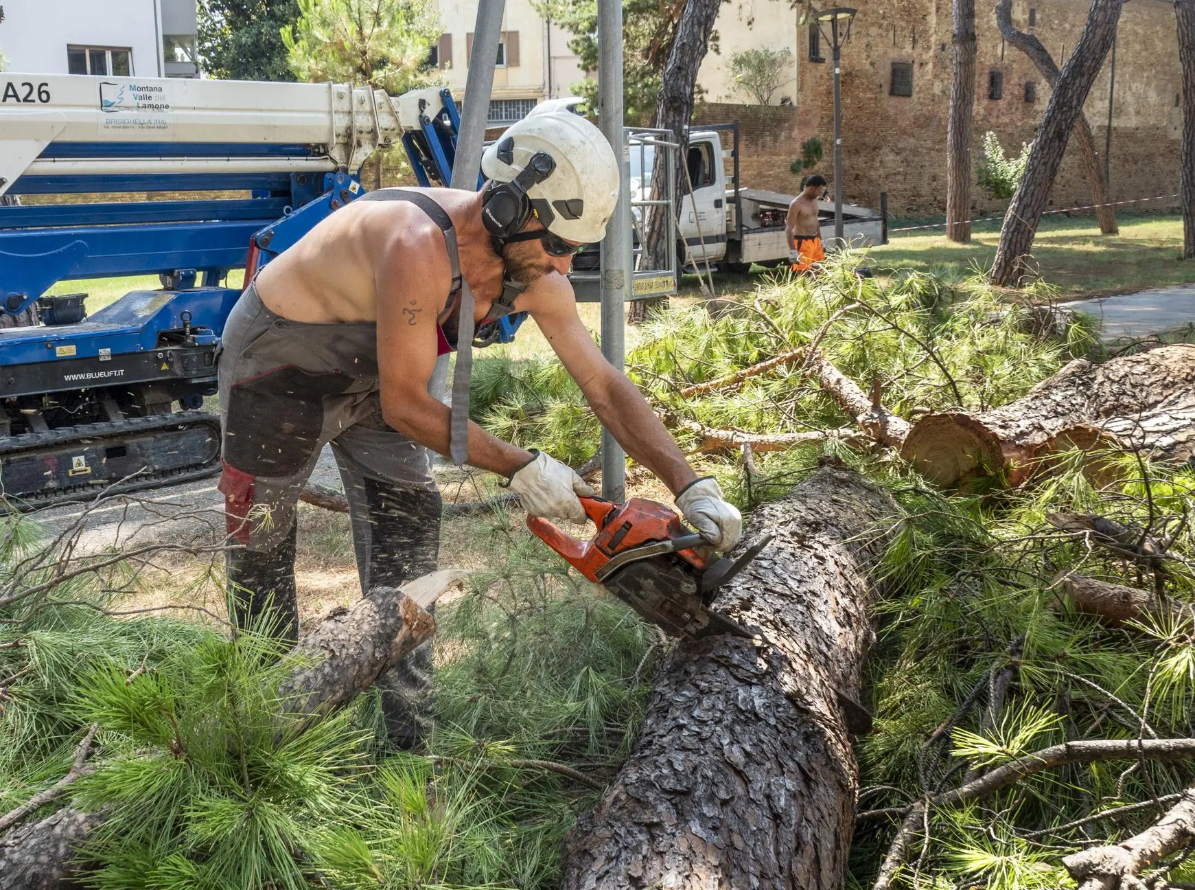 Operai giardinieri segretari e cassieri