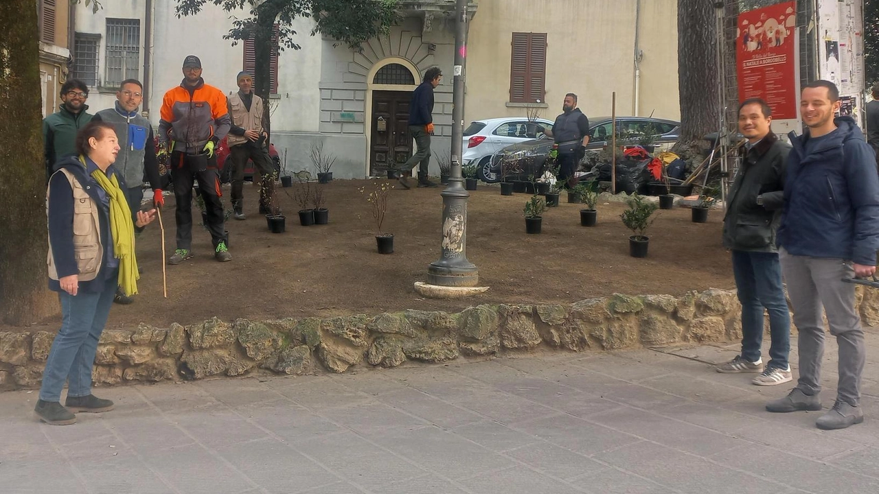 La dottoressa Carla Schiaffelli, gli agronomi,. gli studenti di “Alberi Maestri“ e i tecnici del Comune durante le operazioni di riqualificazione del verde urbano di corso Cavour