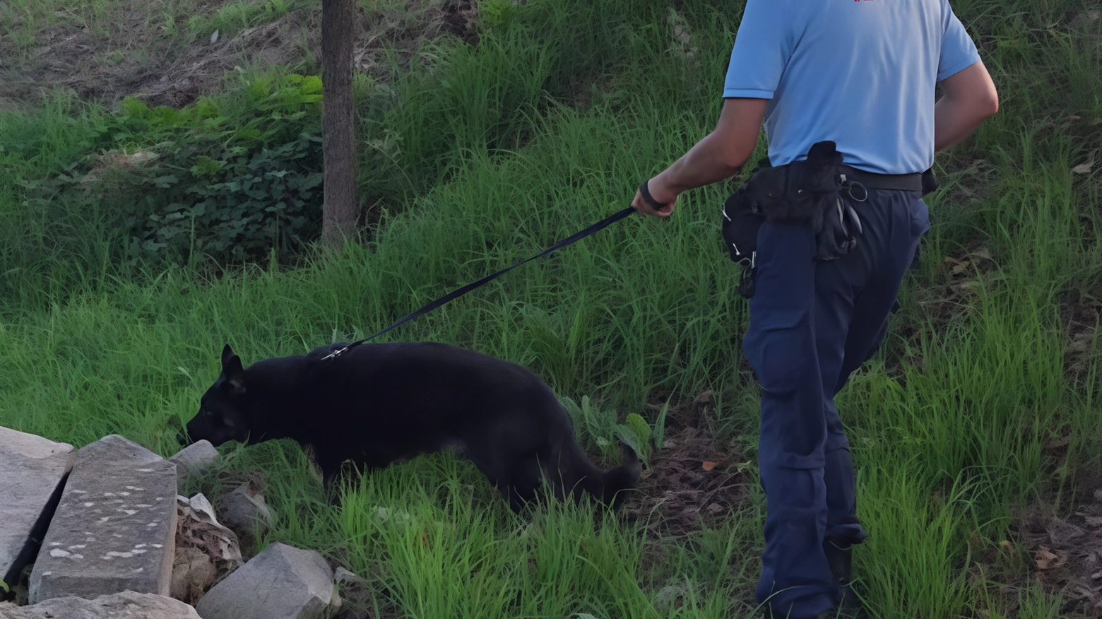 Il blitz nelle piazze dello spaccio. Sequestrata droga in un parco