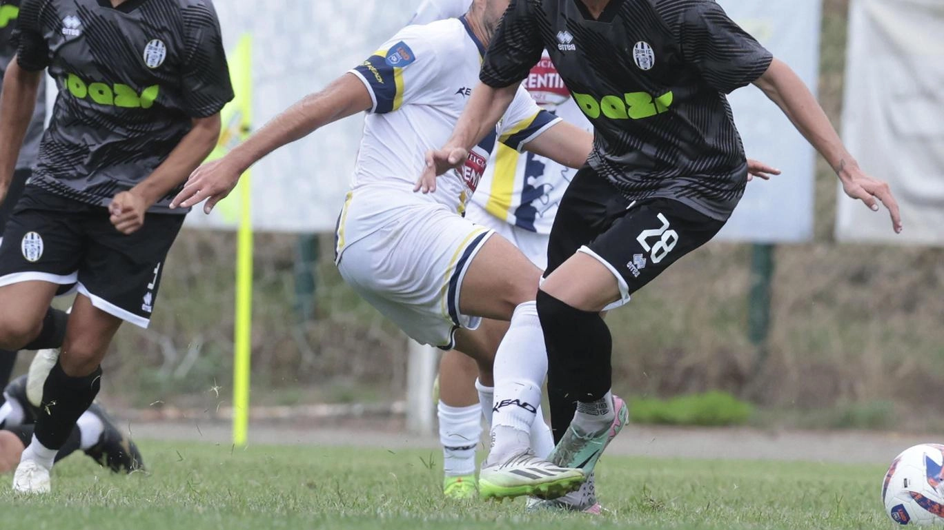 Robur, la prossima sfida è al ’Franchi’. Domenica arriva il Montevarchi