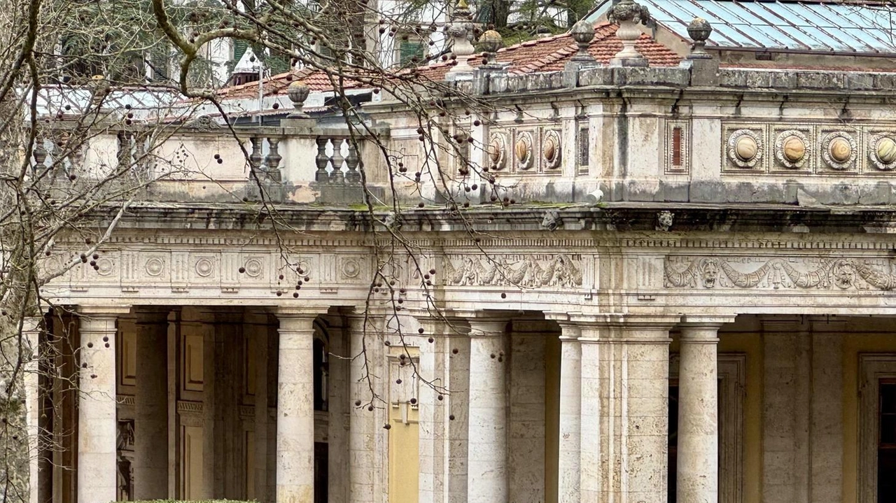 MONTECATINI TERME È alta l’attesa per i risultati della perizia dell’agronomo nel parco delle Terme Tettuccio, dopo il brusco crollo del...