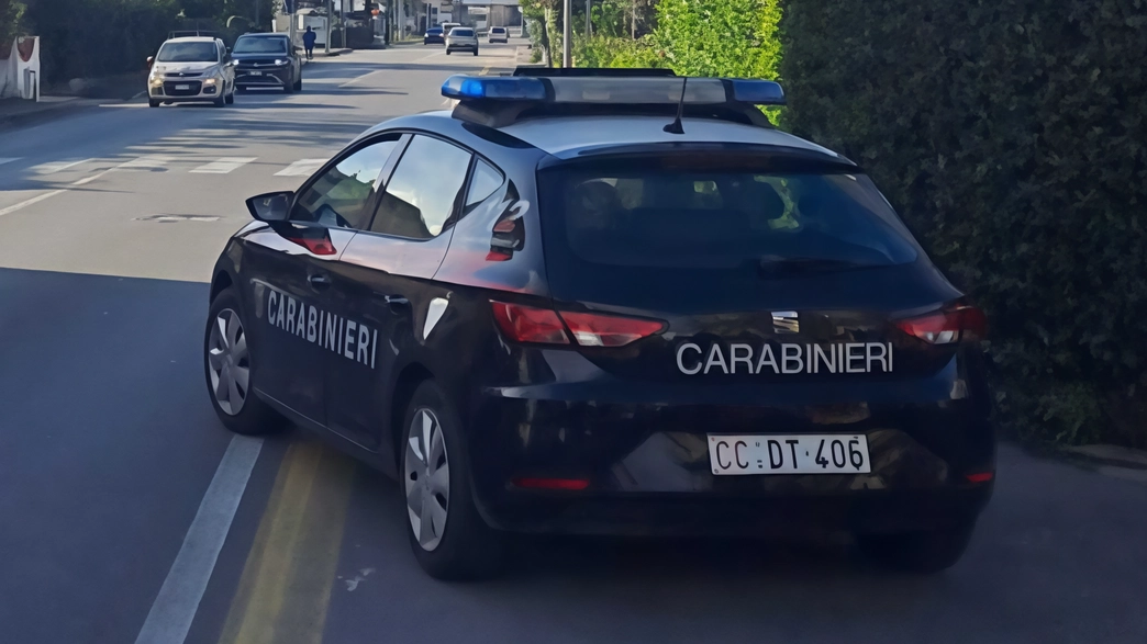 I carabinieri hanno fermato il ragazzo dopo che si era mostrato molto agitato alla vista della gazzella (Foto Archivio)