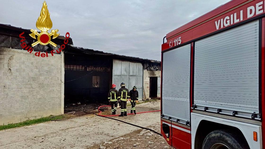 Incendio in una stalla, portati in salvo tutti gli animali