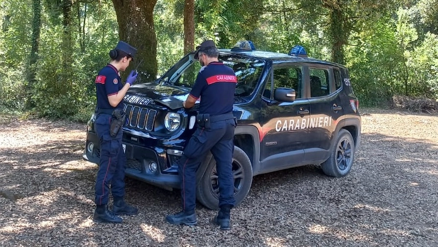 Carabinieri forestali