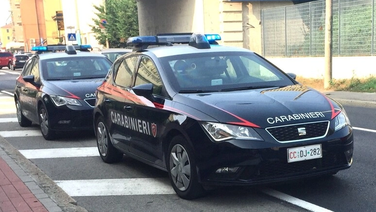 L'operazione dei carabinieri (foto Ansa)