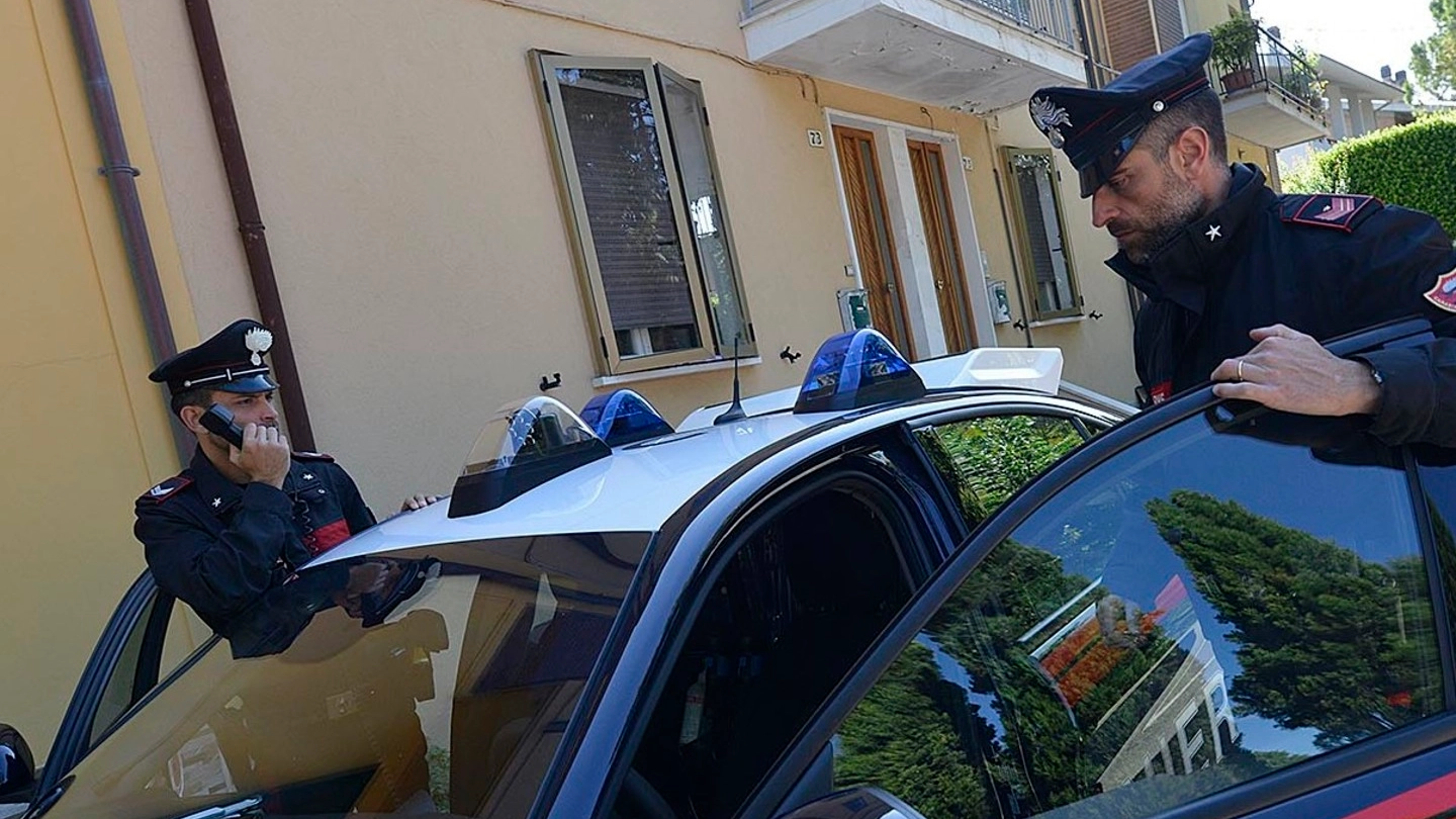 Sono stati i carabinieri a indagare sul caso di maltrattamenti (foto archivio)