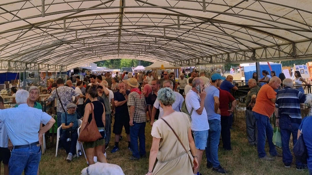 Fiera Calda a Vicchio