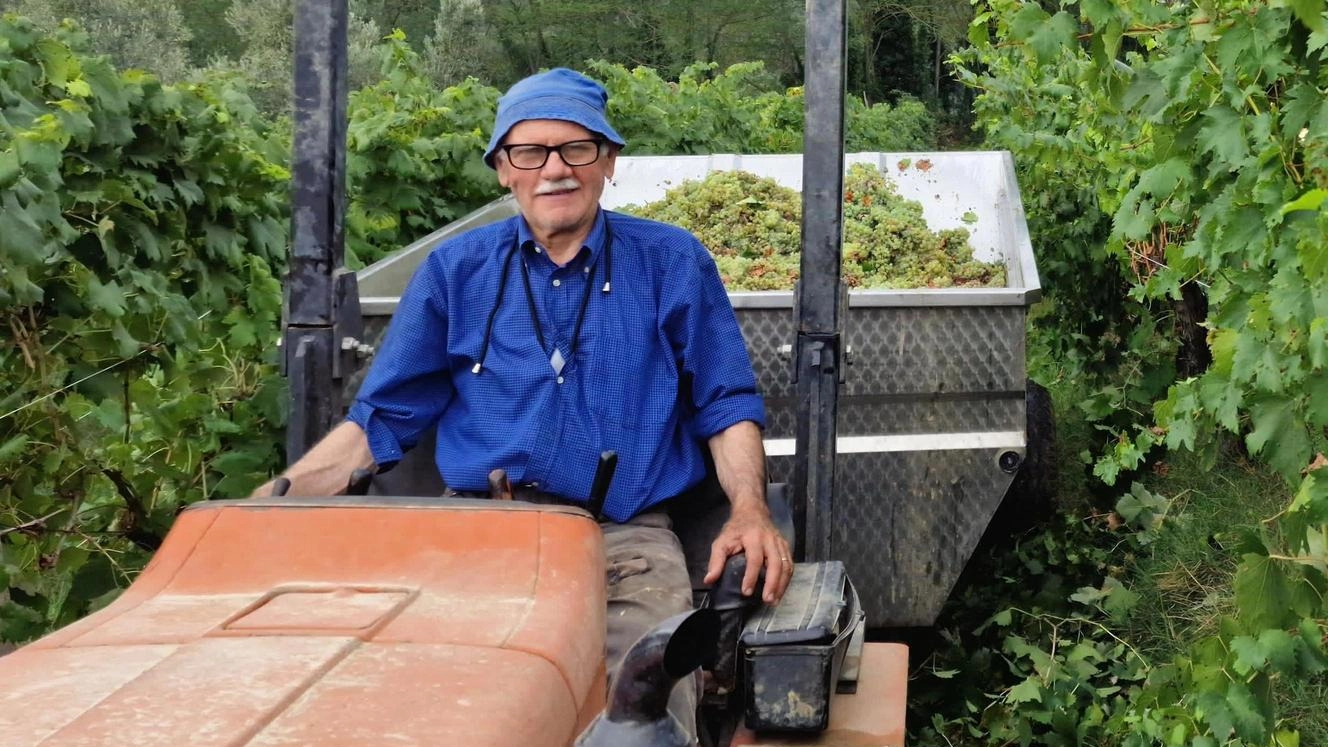 L’imprenditore contadino. Ogni mattina sul trattore: "Non troviamo nessuno che lavori fra le vigne"