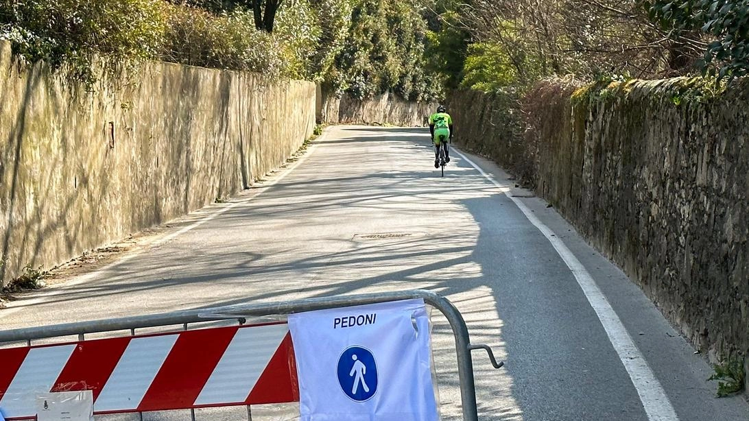 Il ripristino a carico dei condomini e l’appello a Carovani: "Problemi idrici e troppo traffico tra le cause"