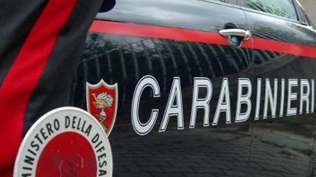 L'intervento dei carabinieri (Foto Ansa)