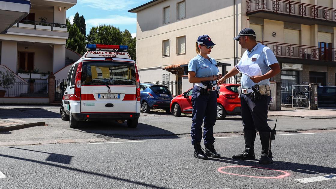 Pecore scappano dal recinto, paese invaso e multa al pastore