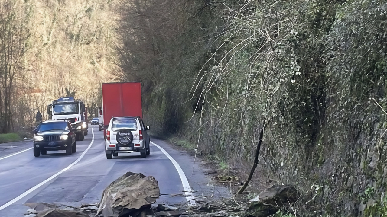 La frana sulla Lodovica e l’albero caduto sulla Verni-Trassilico (foto Borghesi)