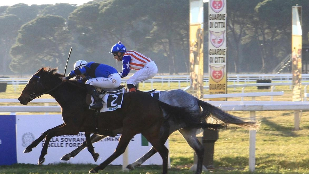 Nella foto: The Last Rebel vince il premio “Francesco Lupinacci” A San Rossore si torna a correre mercoledì 1 gennaio 2025