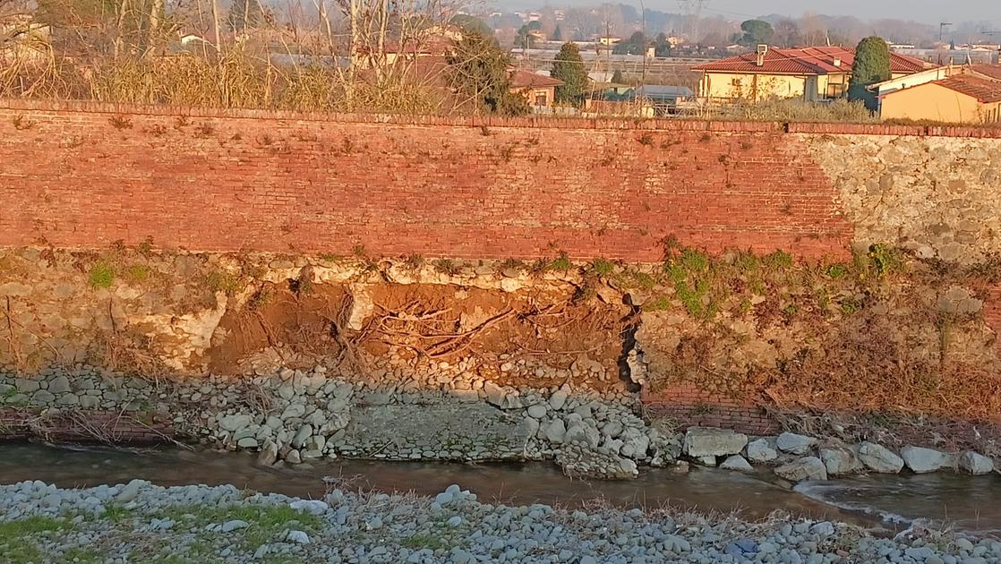 Pericolo sull’argine del fiume Pescia, cedimento vicino al corso d’acqua. “Rischio crollo con il maltempo”