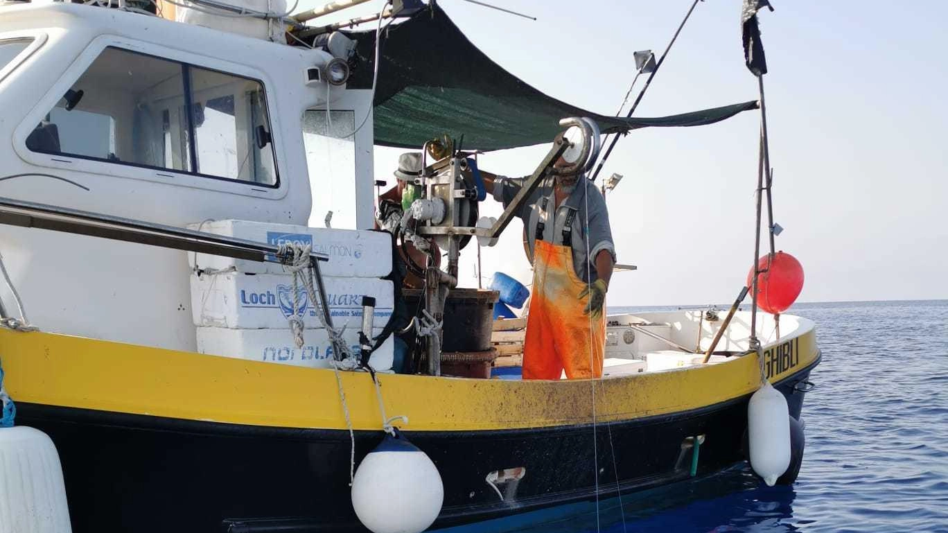 Pesca sotto minaccia. Tronchi alla deriva e salinità ai minimi: "Specie in estinzione"