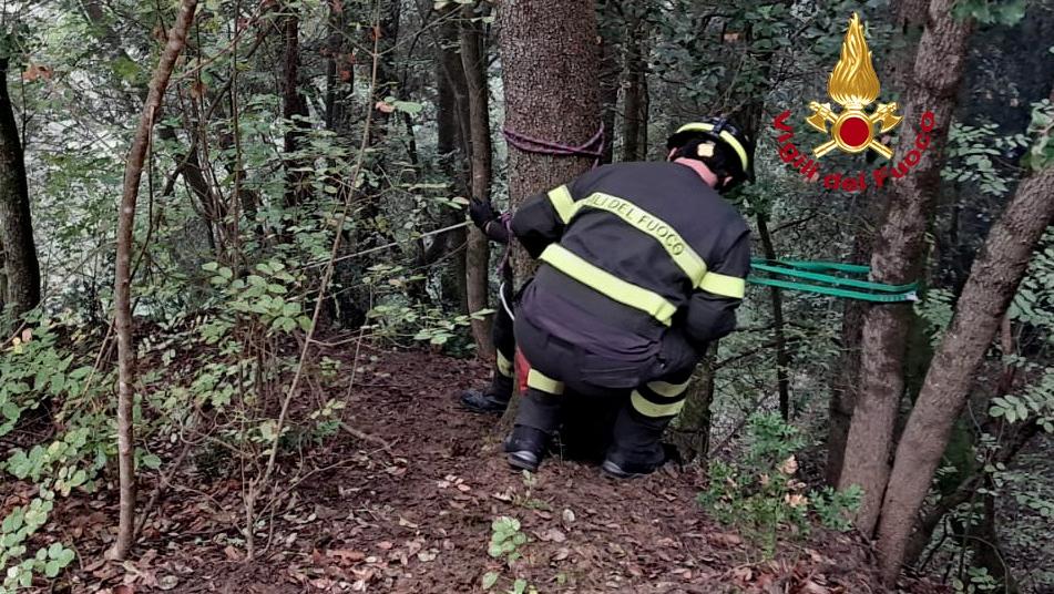 Trovato morto in fondo alla scarpata, tragica fine di un 61enne