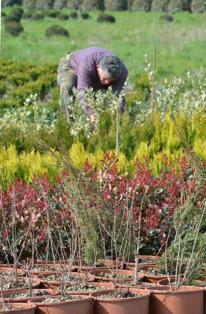 Disoccupazione agricola: come fare domanda