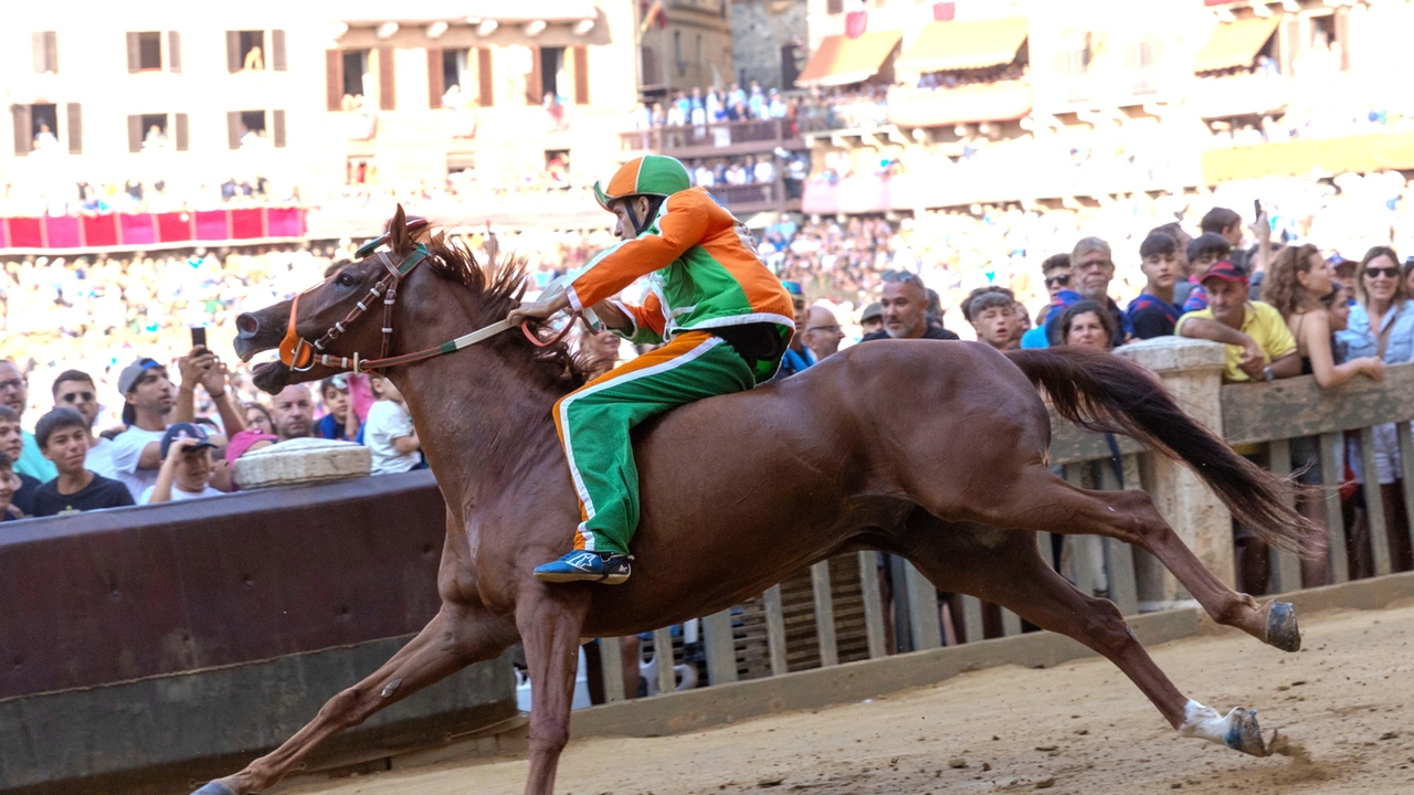 Palio, la Selva vince la quarta prova (Di Pietro)