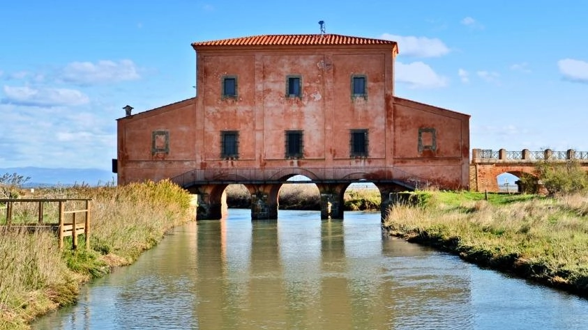 La gestione della Riserva Naturale Diaccia Botrona a Castiglione della Pescaia si rinnova con progetti di valorizzazione e conservazione ambientale, supportati da finanziamenti europei e collaborazioni istituzionali.