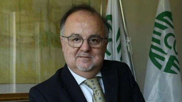 Stefano Bonfanti