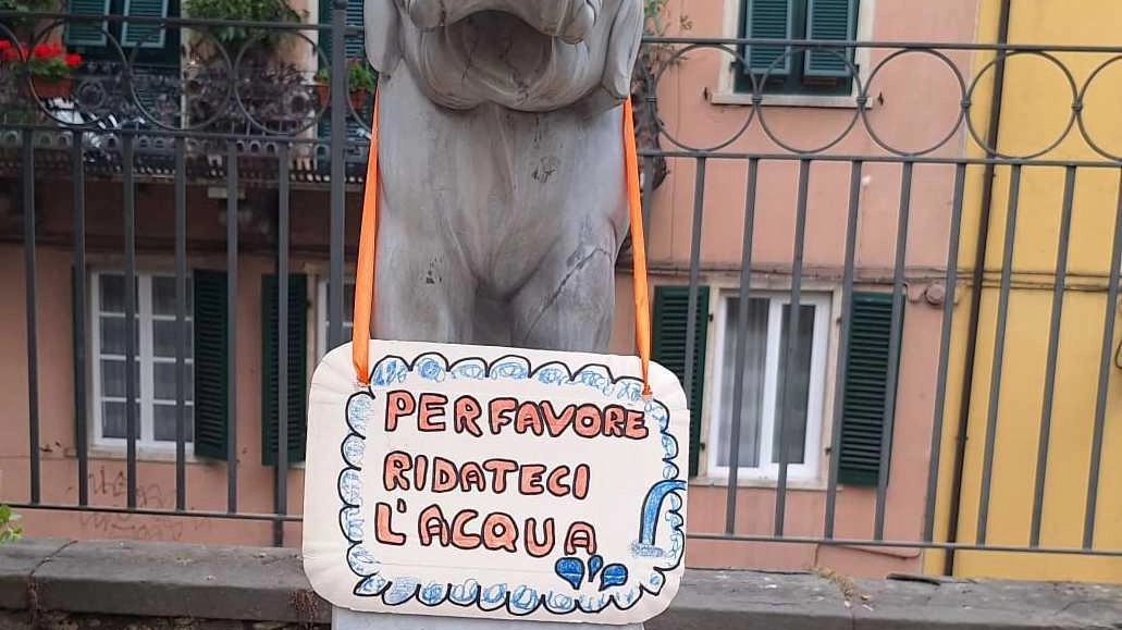 Elefantino a secco. Rabbia in piazza d’Armi