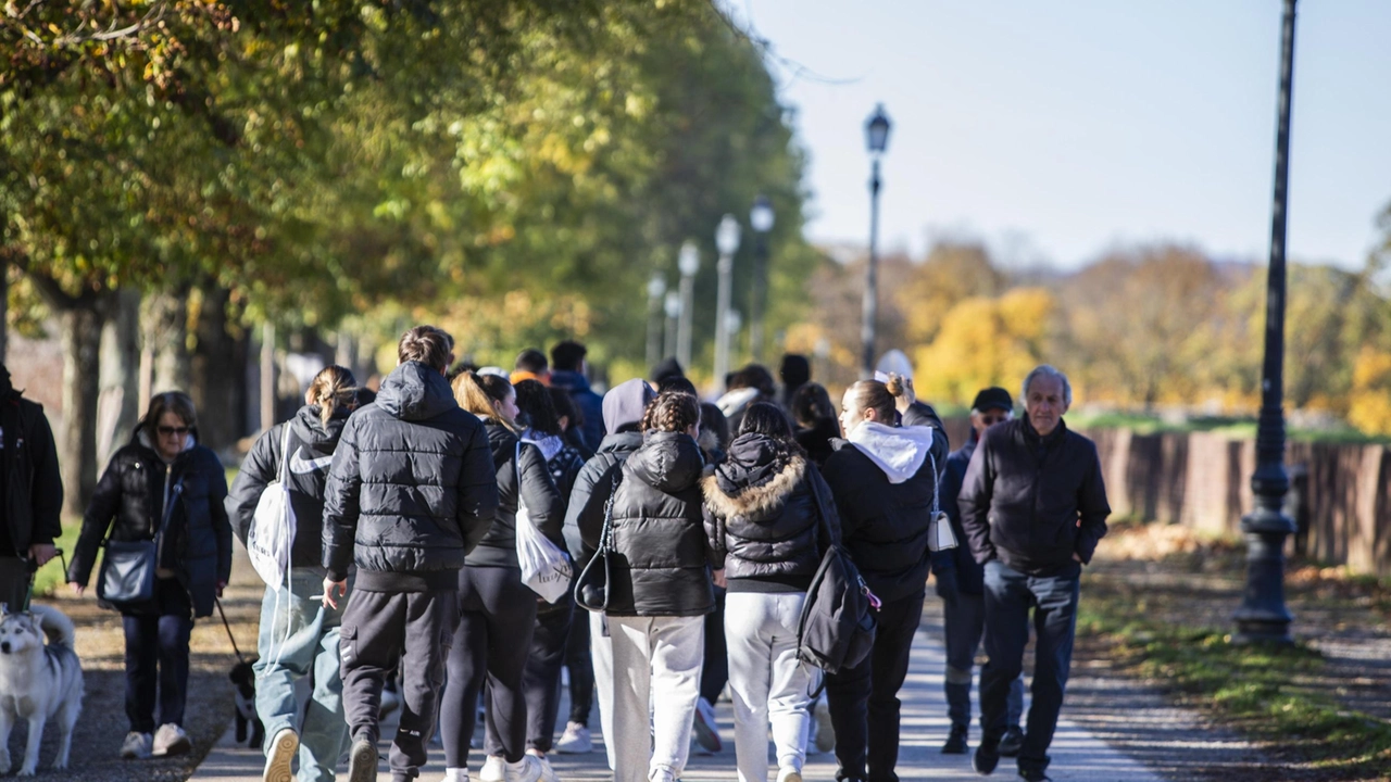 Il primo incontro è oggi nella sede di via Catalani, domande entro il 18 febbraio