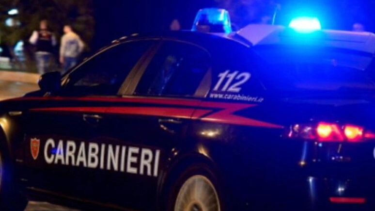 L'intervento dei carabinieri (Foto Ansa)