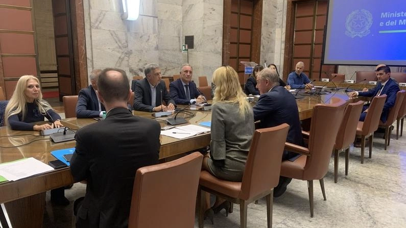 Concia, crisi e polemiche: "Giglioli ha scelto il Belgio al summit con il ministro"