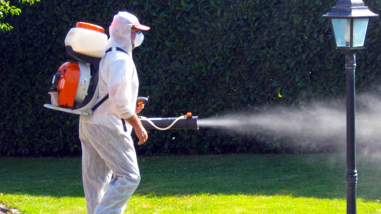 Fondamentale la prevenzione con azioni di disinfestazione antilarvale (foto d’archivio)