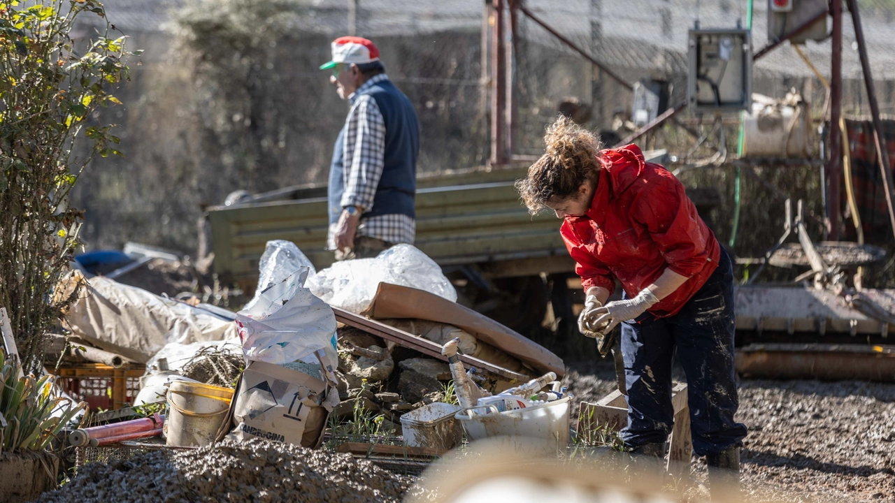 I danni causati dall’esondazione del fiume Elsa tra Malacoda e Petrazzi (Gasperini)