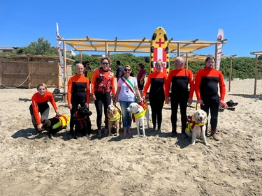 Quei cani eroi che salvano persone: Castiglione della Pescaia e i bagnini speciali