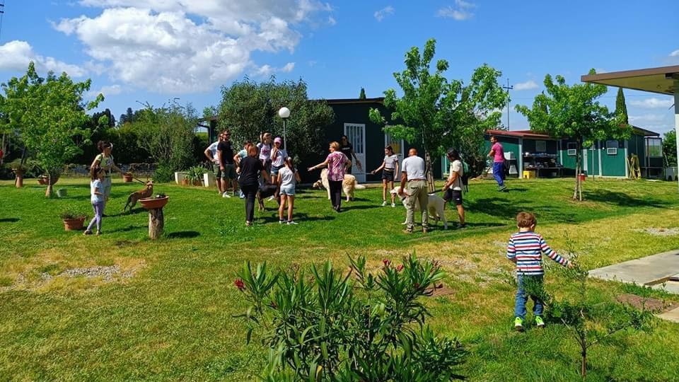 Il parco canile compie 10 anni. Festa per l’inaugurazione dei box