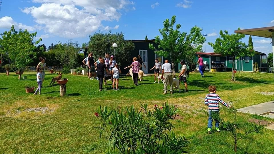 Il parco canile La Valle Incantata di Lajatico. Quella di domani sarà una giornata di festa che inizia alle 15.30 (foto d’archivio)