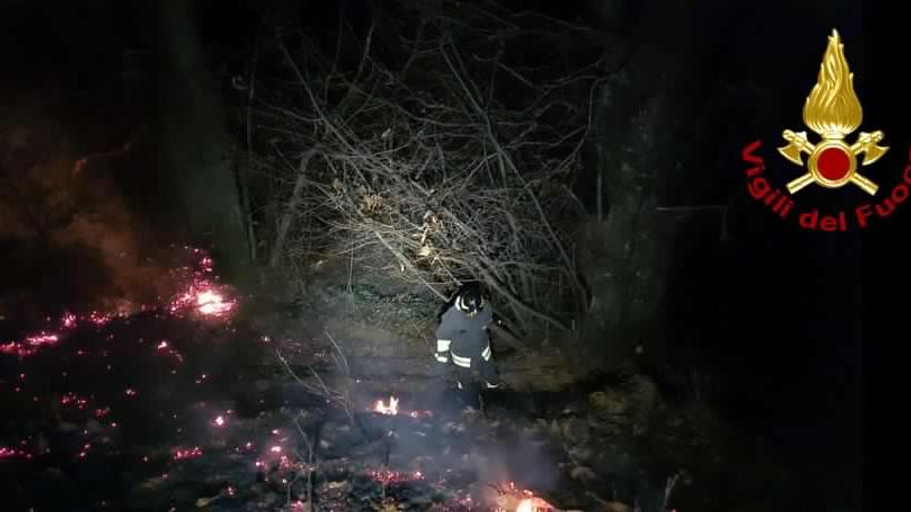 Chiozza, scoppia un incendio nel bosco nella notte