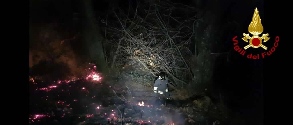 Chiozza, scoppia un incendio nel bosco nella notte