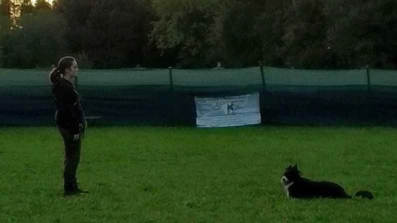 Una foto di Francesca Novi insieme al suo cane Light