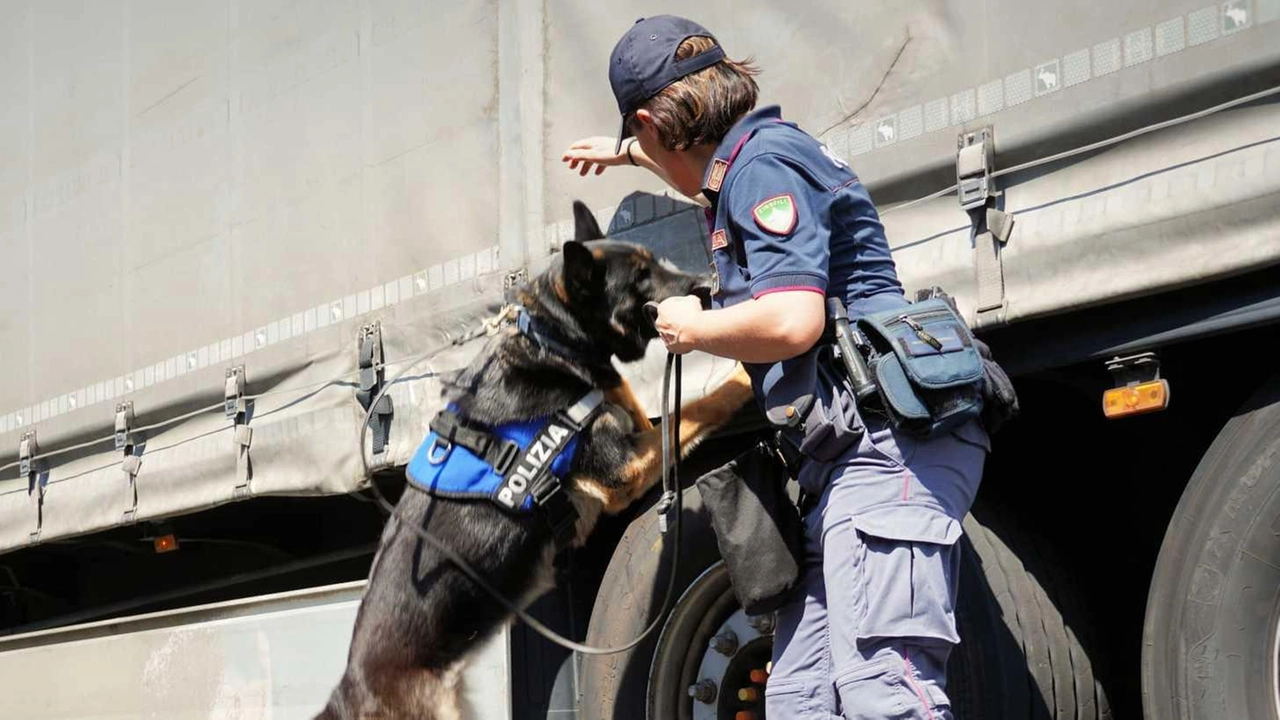 Il 49enne è stato intercettato nell’area di sosta ’Arno Ovest’ dalla polizia e portato nel carcere di Prato