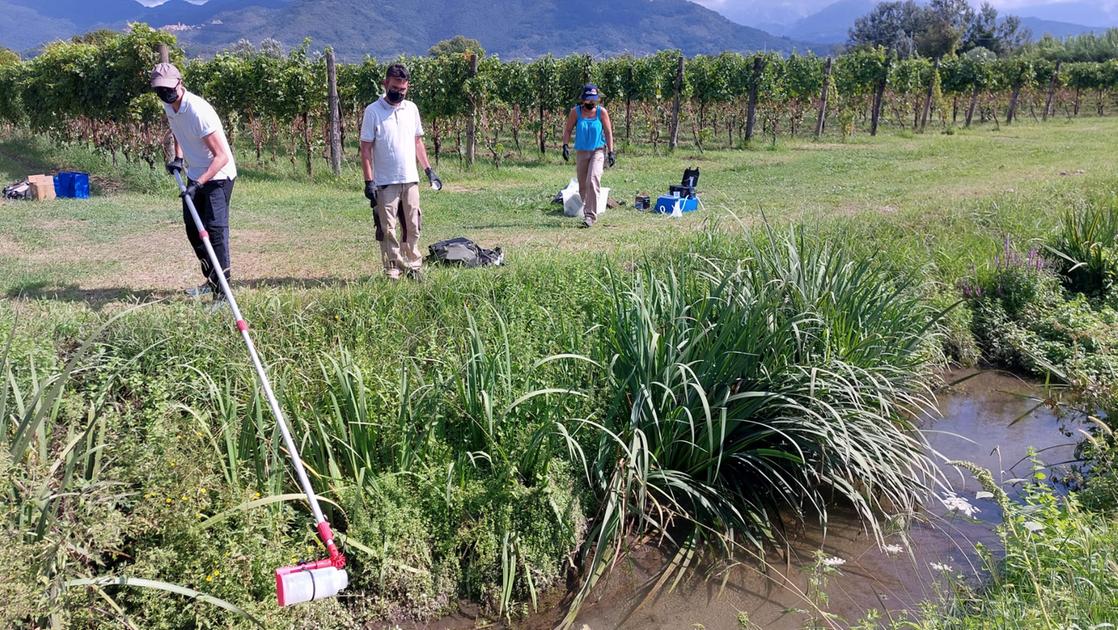 Biodiversità, valorizzazione ed economia: avviato lo studio a Marinella