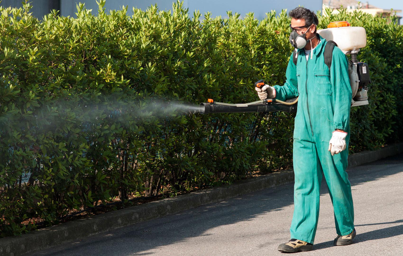 Caso di Dengue a Rapolano. Al via la disinfestazione