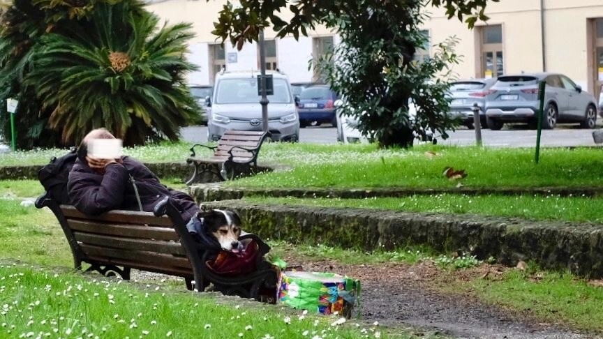 I giardini di piazza Jurgens di fronte alla stazione ferroviaria di Sarzana