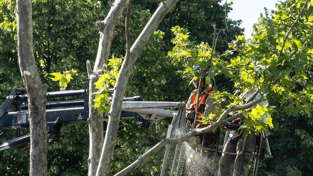 Un intervento di manutenzione per la cura del verde messo in atto da parte di alcuni operai in servizio (foto d’archivio)