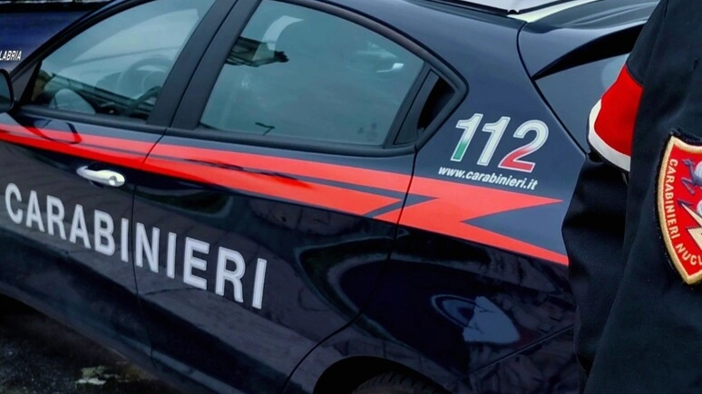 L'arresto è stato eseguito dai carabinieri (Foto Ansa)