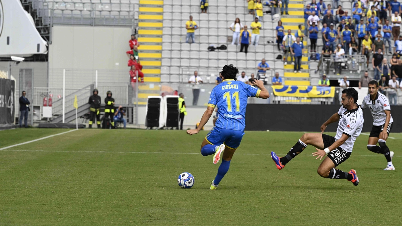 Il vecchio prato sintetico dello stadio ha un nuovo padrone, anzi dei nuovi padroni. Sono venti i soggetti che si...